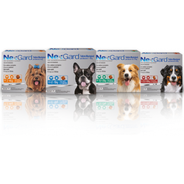 NexGard - para cães de 2kg a 50kg (1 tablete mastigável)