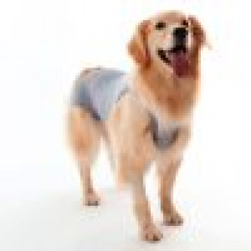 Roupa Pós Cirúrgica Pet Med Ultra Light Color Regular para Cães - Cinza - Tam 4