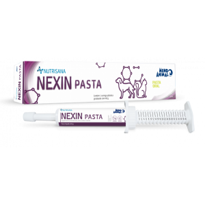 Nexin Pasta Nutrisana Seringa - 40 gr