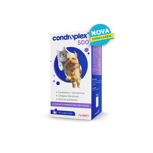 Condroplex 500 mg - 60 Cápsulas