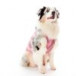 Roupa Pós Cirúrgica Pet Med Ultra Light Color Regular para Cães - Rosa Ball