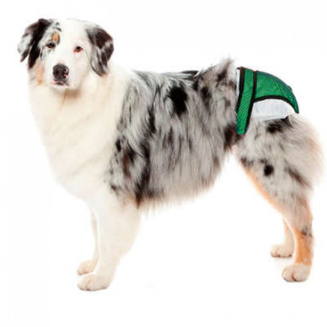 Protetor Higiênico Fraldas & Cio Pet Med para Cães - Verde 