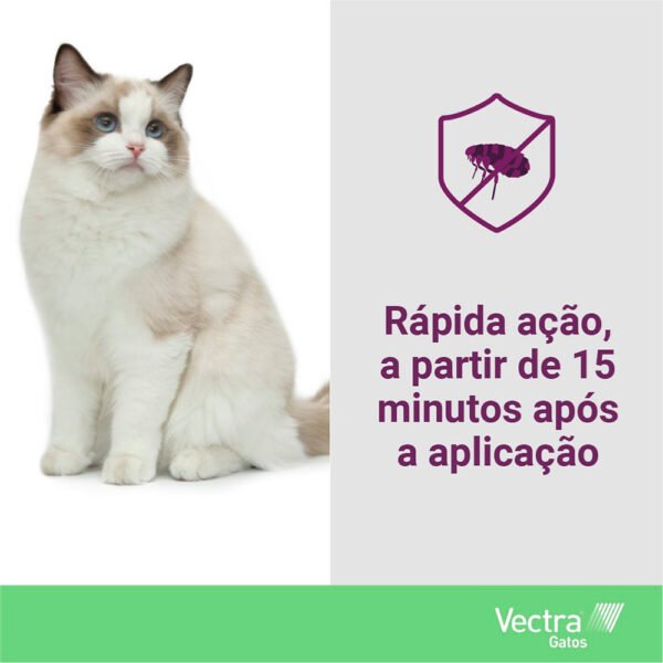 Antipulgas Vectra Para Gatos 1ml - Image 2