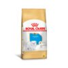 Ração Royal Canin Puppy para Cães Filhotes da Raça Maltês - 1kg