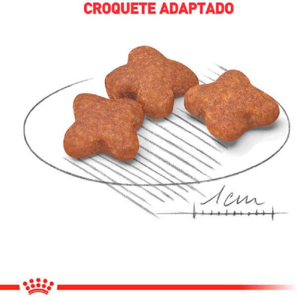 Ração Royal Canin Mini Adulto 8+ para Cães Idosos de Porte Pequeno - 1kg - Image 2