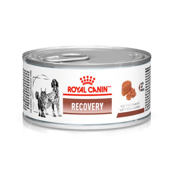 Ração Úmida Lata Royal Canin Recovery para Cães e Gatos em Recuperação - 195 g