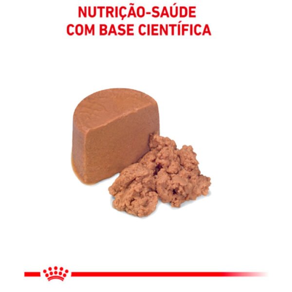 Ração Úmida Lata Royal Canin Recovery para Cães e Gatos em Recuperação - 195 g - Image 2