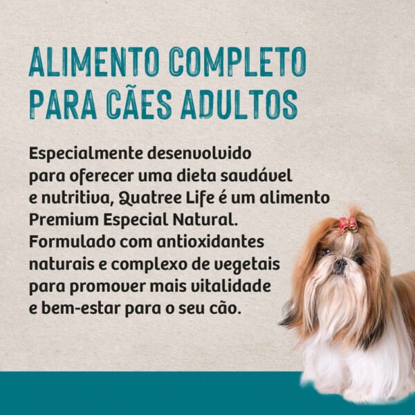 Ração Quatree Life para Cães Adultos de Porte Pequeno Sabor Frango e Arroz 10kg - Image 4