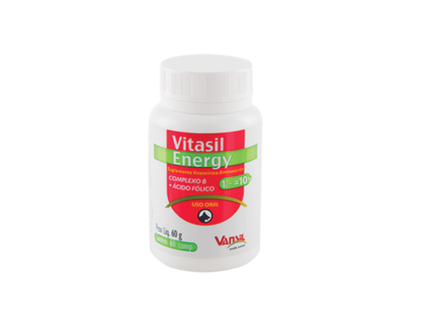 Vitasil Energy Vansil - 60 Comprimidos