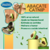 Abacate Catnip para Gatos - Image 2