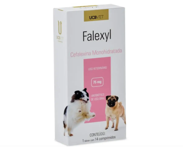 Falexyl 75mg caixa com 14 comprimidos
